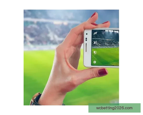 世界杯竞猜热门平台深度解析与用户体验全面升级指南